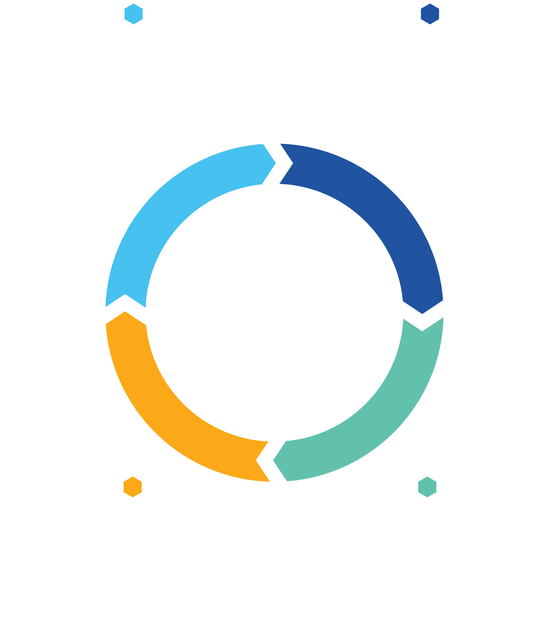 Testaify Test Process - Four-Step Cycle - KO